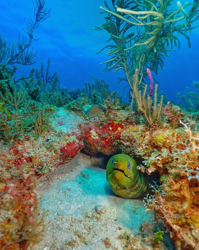 MUST DO ON BONAIRE